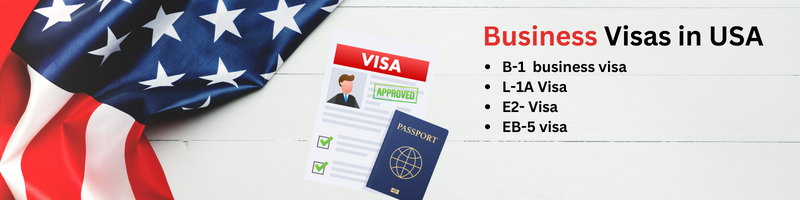 Types of Business Visas in usa